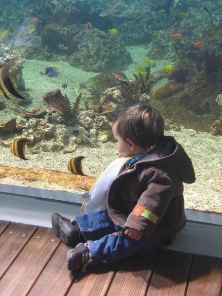 L�andre et les poissons