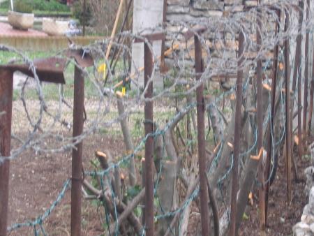 Camps militaire de Vendargues ?