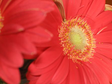 petite pose bucolique.....