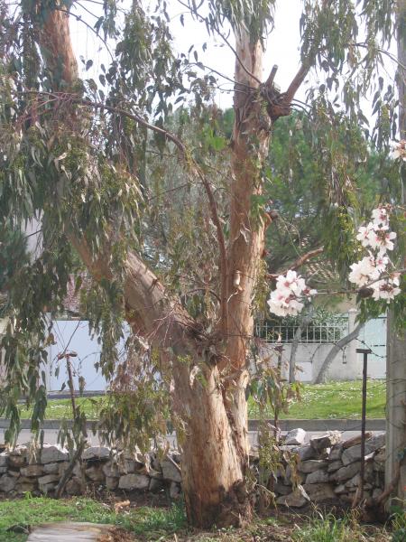 Notre souci du moment