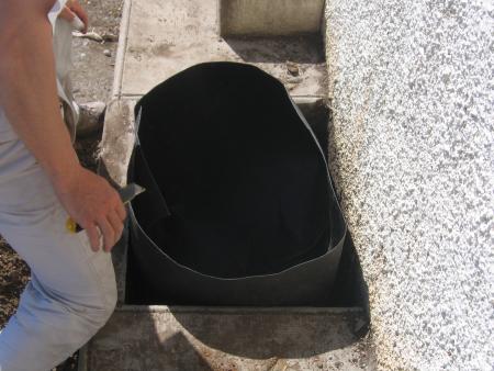 plantation des bambous 