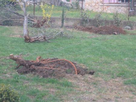 et voil� le resultat !!!