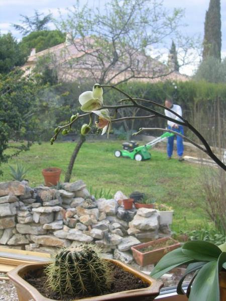 Preparation du potager.....