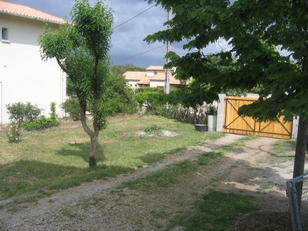 le jardin prend forme