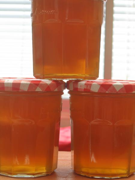 Confiture de pissenlits