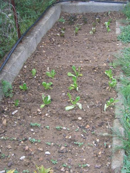 LE POTAGER EN MARS
