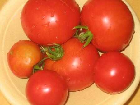 du soleil dans nos assiettes