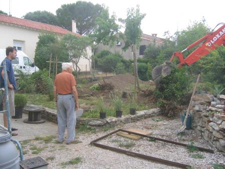 au tour des arbres de disparaitre
