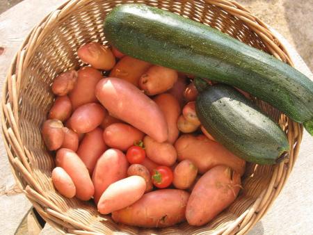 une nouvelle recolte