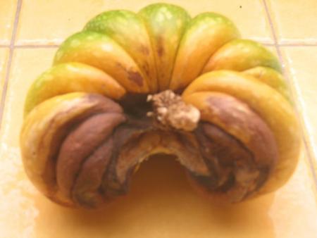 un probl�me avec mes potriron....