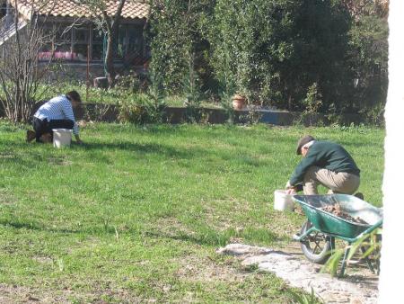 ramasage de cailloux